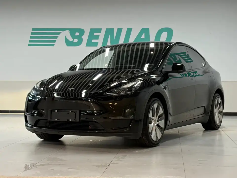 Tesla Model Y Model Long Range AWD 2021