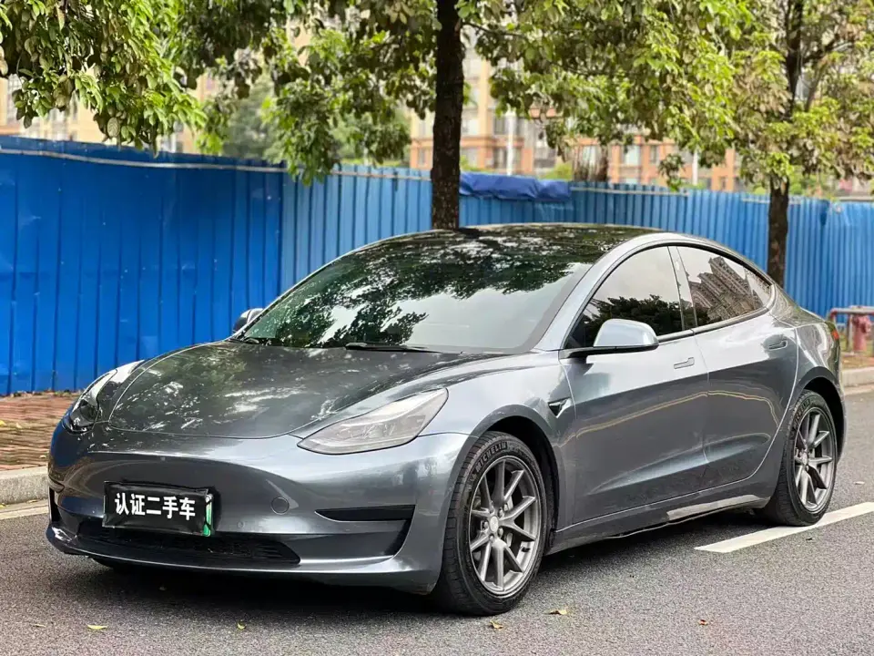 Tesla Model 3 Model Rear-Wheel Drive Version 2022