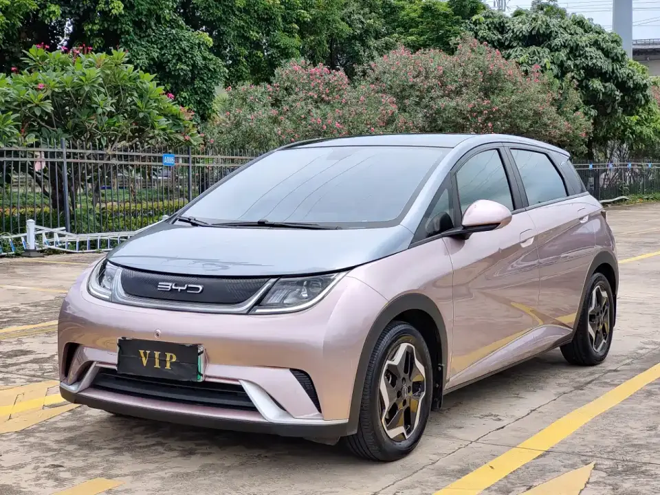 BYD Dolphin Model 405km Fashion Edition 2022