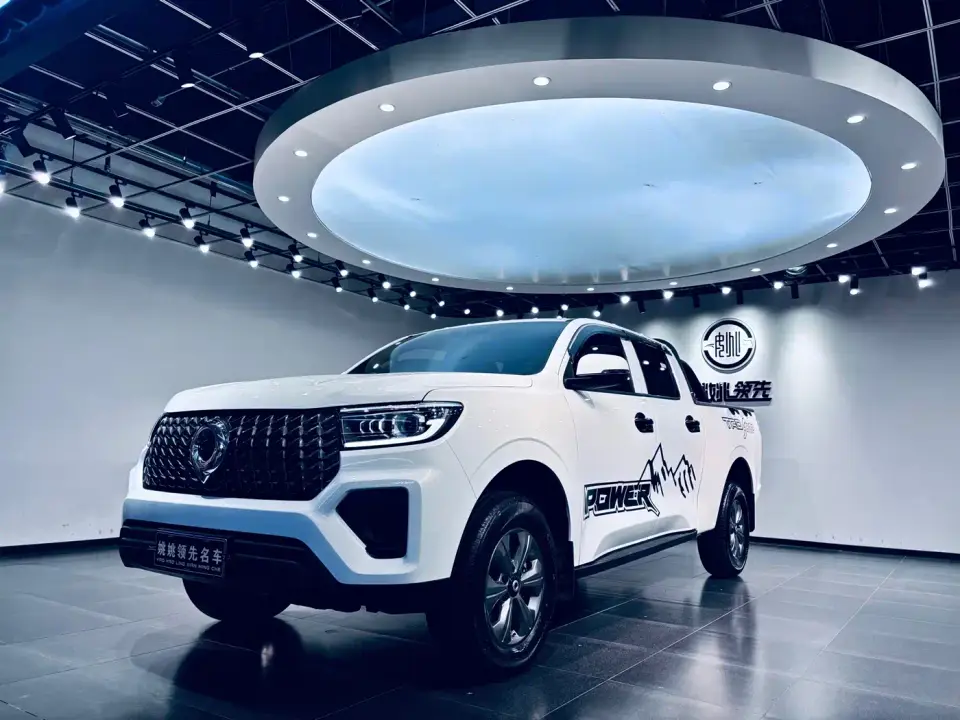 Great Wall Pao Model 2.4T Commercial Version Automatic Diesel 4WD Elite Type 2024