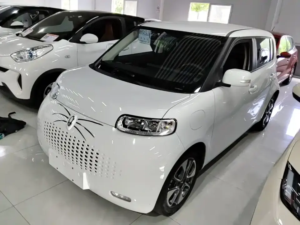 ORA White Cat Upgraded 305km Luxury (NMC) 2022