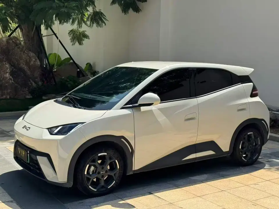 BYD Seagull Glory Edition 305km Freedom Edition 2024