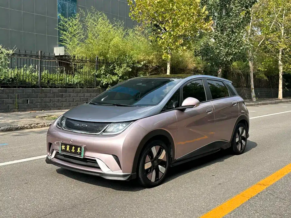 BYD Dolphin 401km Knight Edition 2023