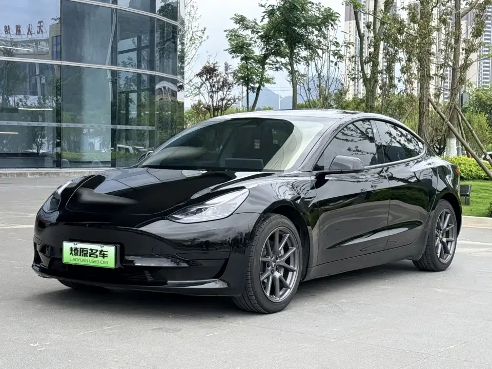 Tesla Model 3 Model Rear-Wheel Drive Version 2023
