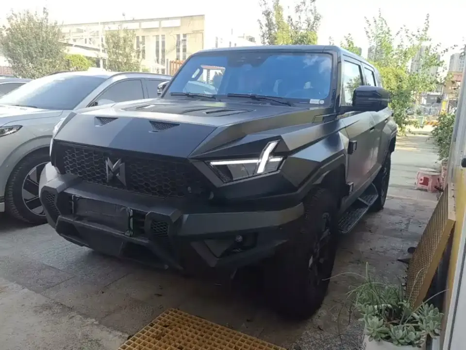 Mengshi 917 Extended Range Base Version 2024