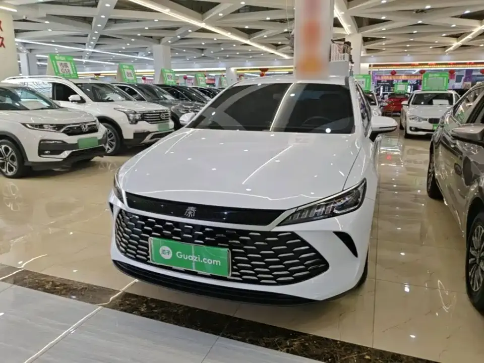 BYD Qin PLUS DM-i Smart Drive 55KM Leader 2025