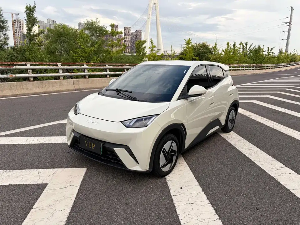 BYD Seagull Vitality Edition 2024