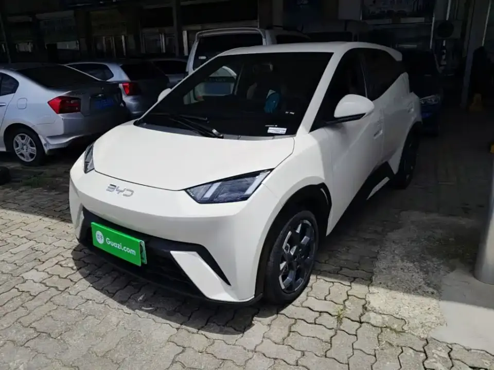 BYD Seagull 305km Freedom 2025