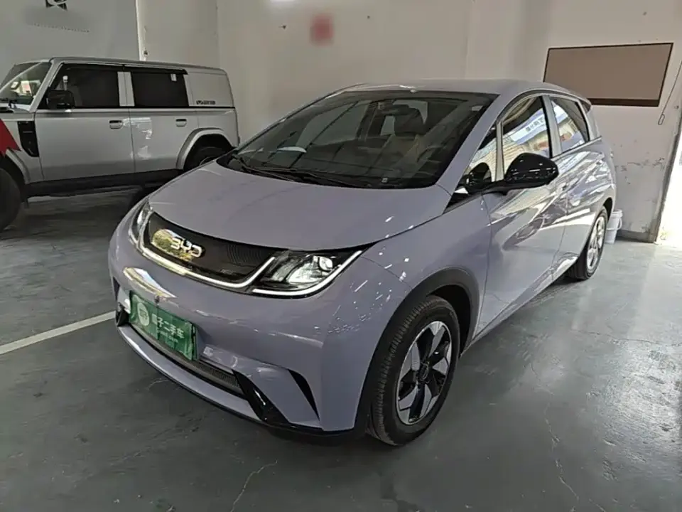 BYD Dolphin Glory Edition 420km Freedom Edition 2024