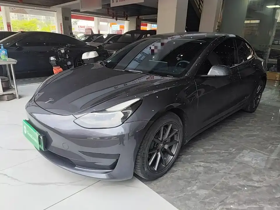Tesla Model 3 Standard Range Rear-Wheel Drive Upgrade 3D6 2021