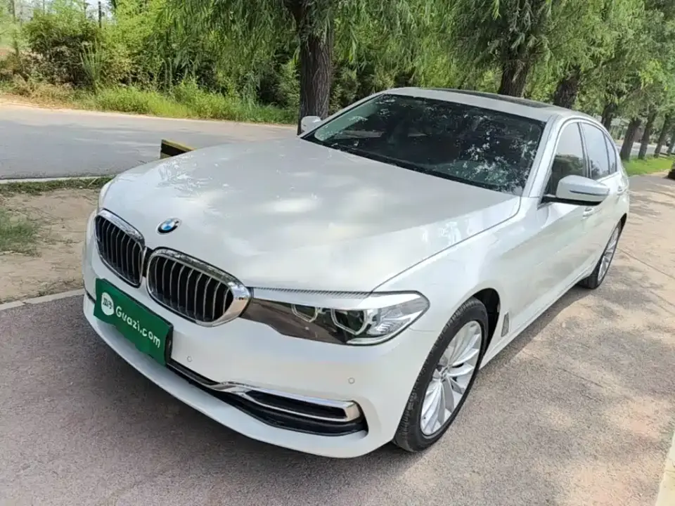 BMW 5 Series 530Li Leading Luxury Package 2019