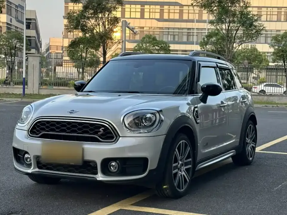 Mini COUNTRYMAN 2.0T COOPER S ALL4 Artist 2020