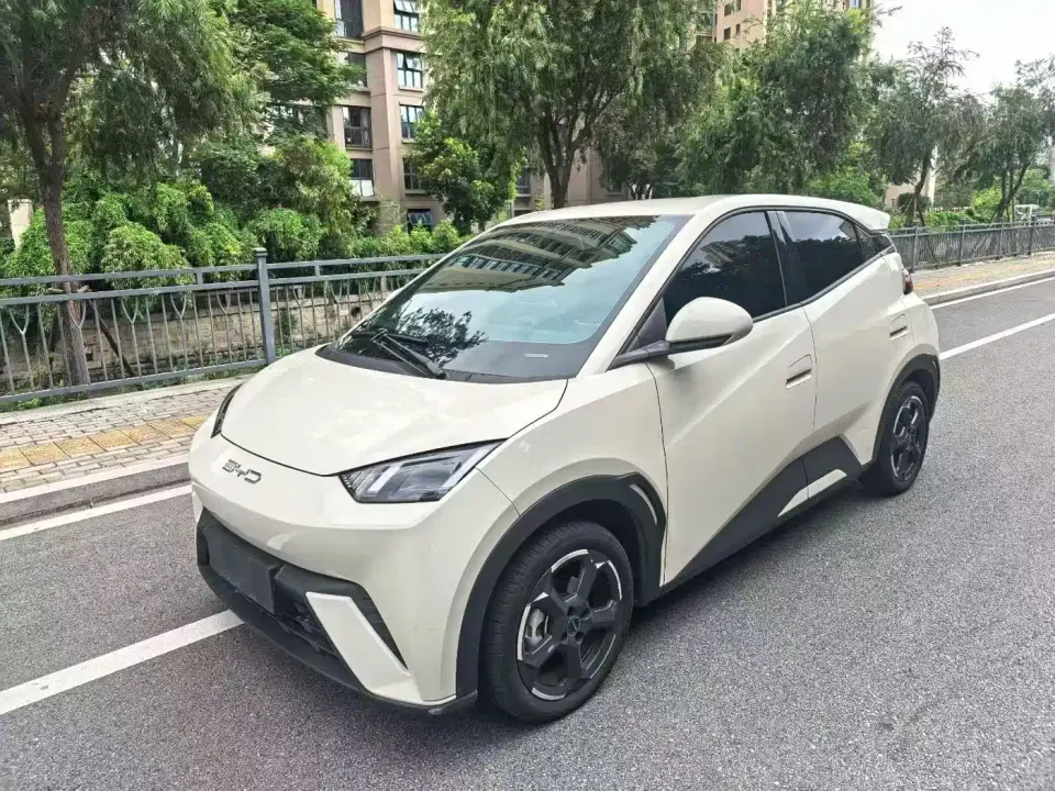 BYD Seagull Flying Edition 2023