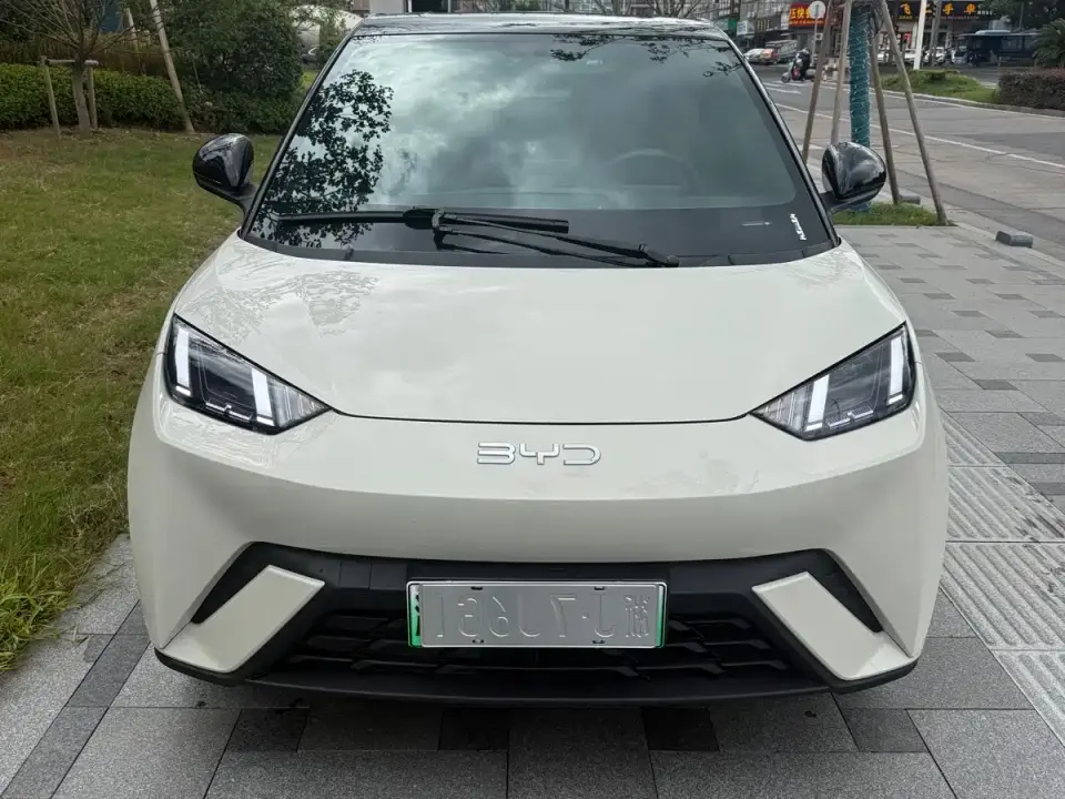 BYD Seagull 305km Freedom 2025
