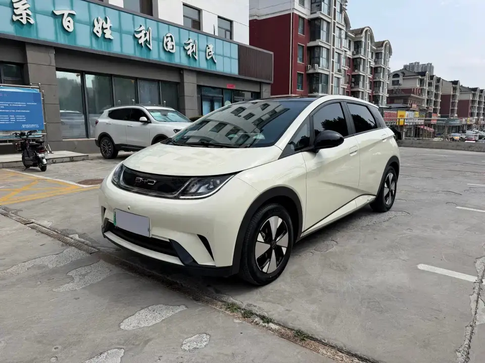 BYD Dolphin 420km Fashion Edition 2024