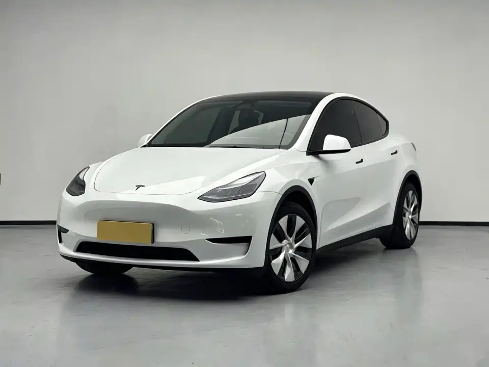 Tesla Model Y Rear-Wheel Drive Version 2024