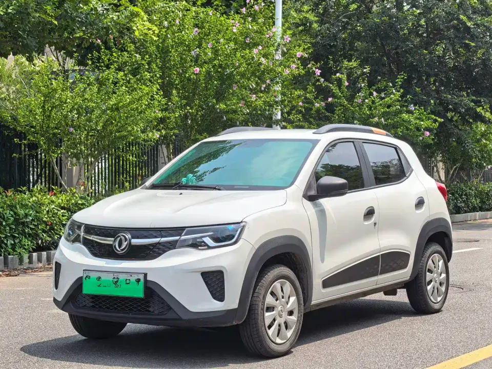 Dongfeng Yipai Dongfeng Nano EX1 PRO Joy Star Edition 2021