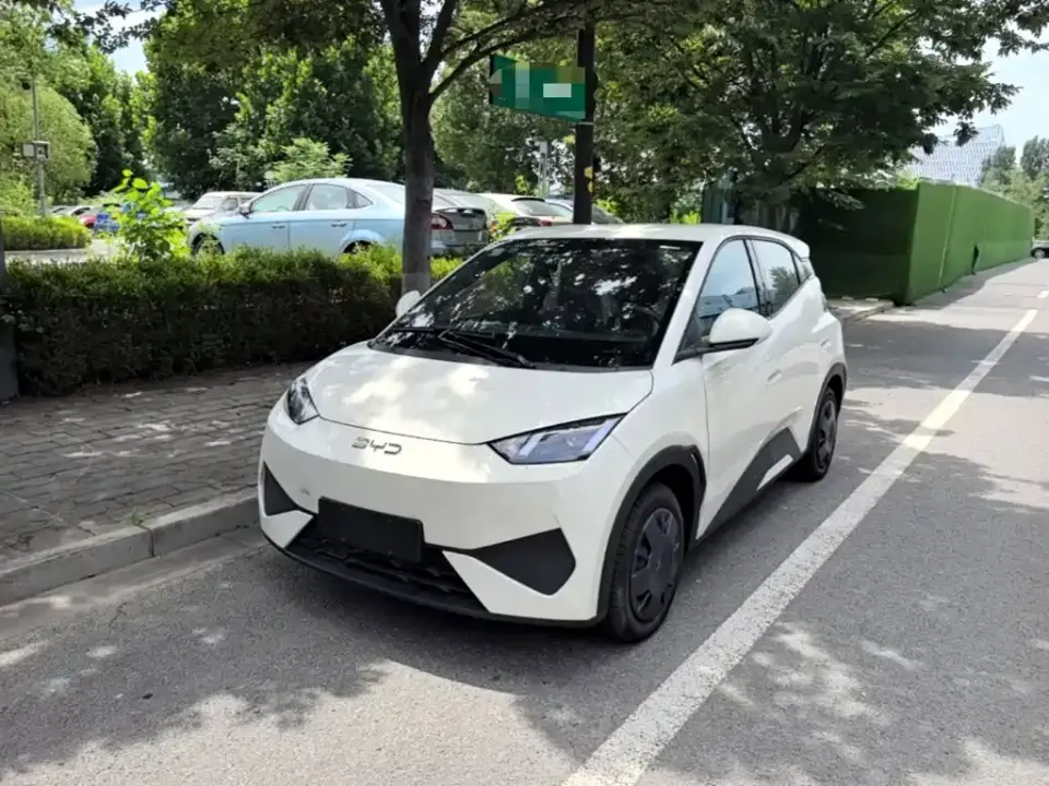 BYD Seagull Smart Drive Edition 305km Vitality Version 2026