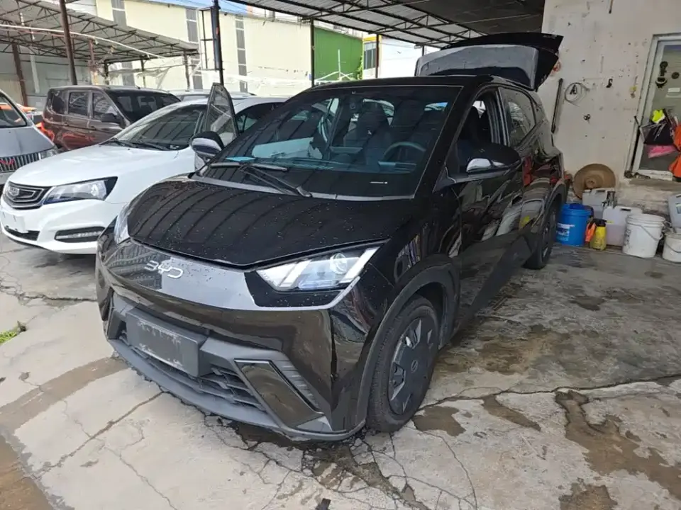 BYD Seagull Glory Edition 305km Freedom Edition 2024