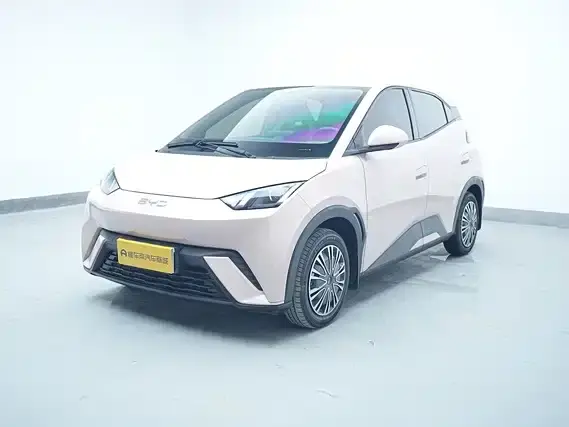 BYD Seagull 305km Vitality 2024