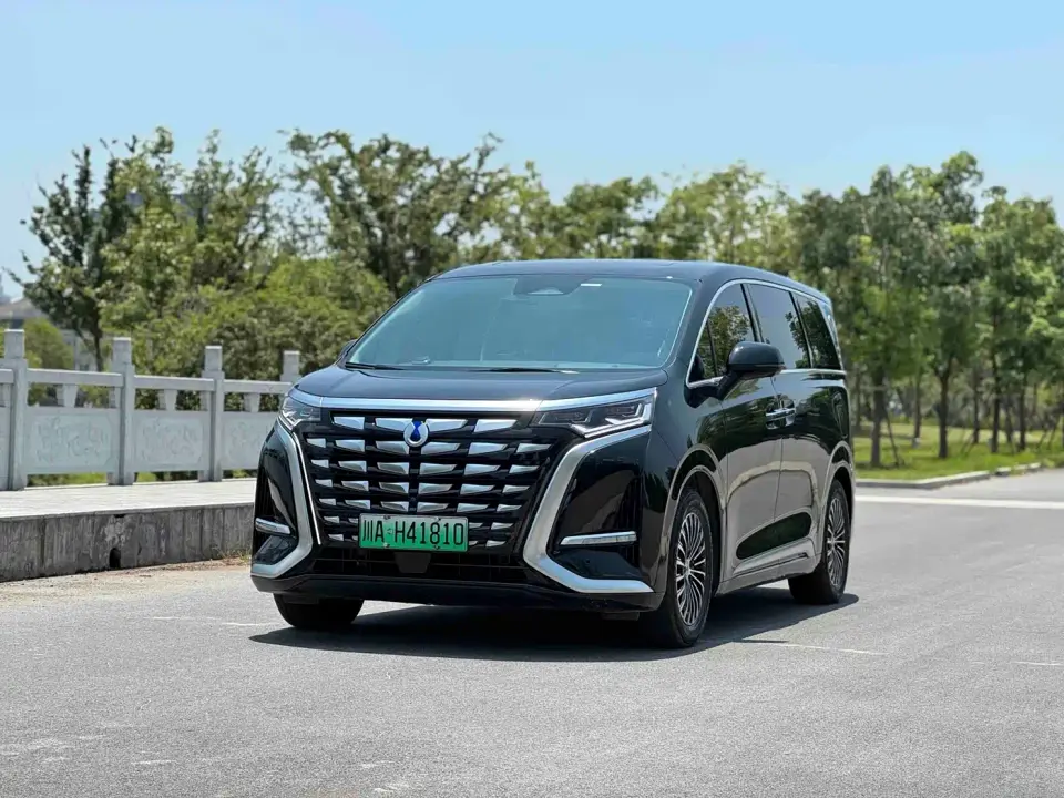Denza D9 DM-i 980 AWD Flagship 2024