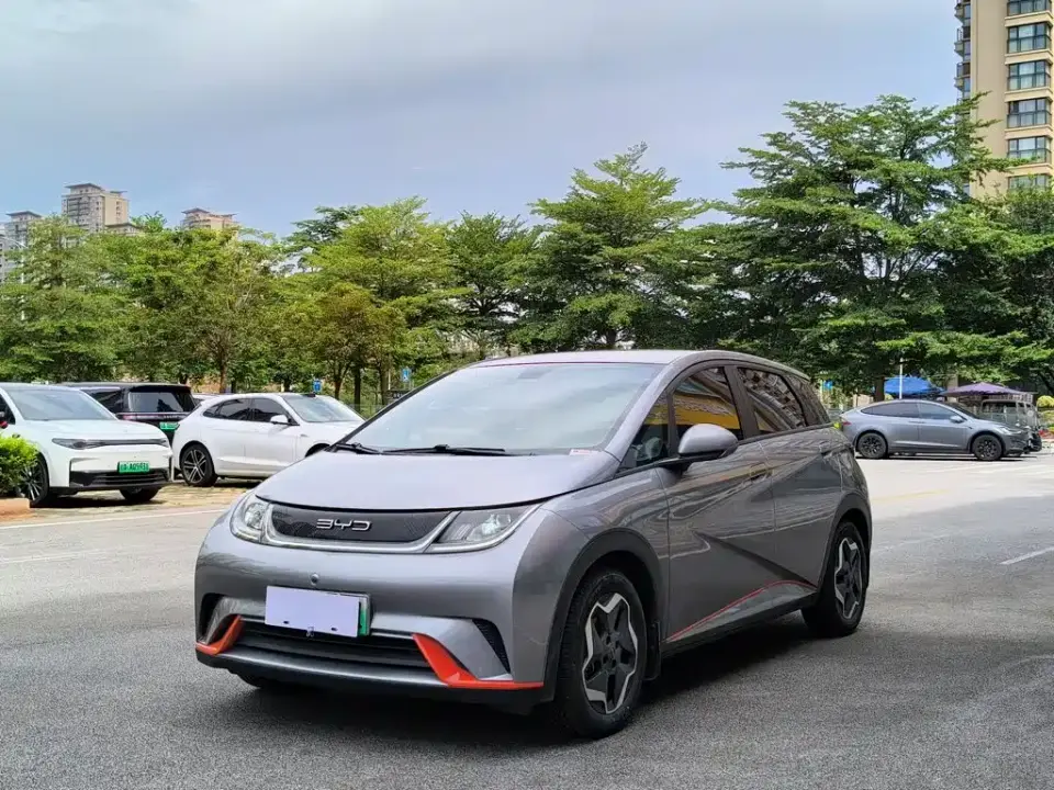 BYD Dolphin Model 405km Fashion Edition 2022