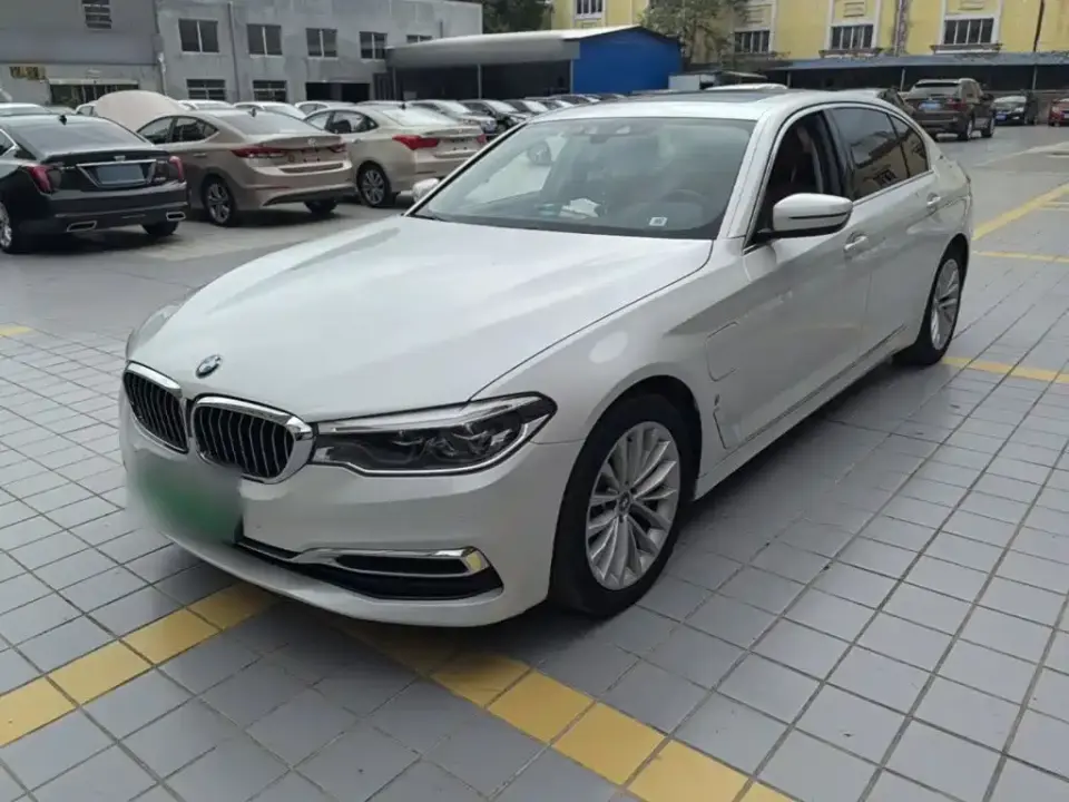 BMW 5 Series New Energy Facelift 530Le Luxury Package 2020
