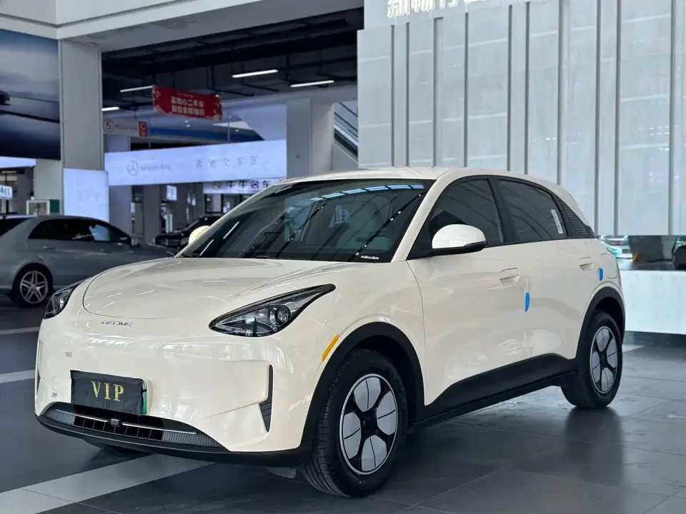Geely Galaxy Starry Wish 310km Youth Edition 2025