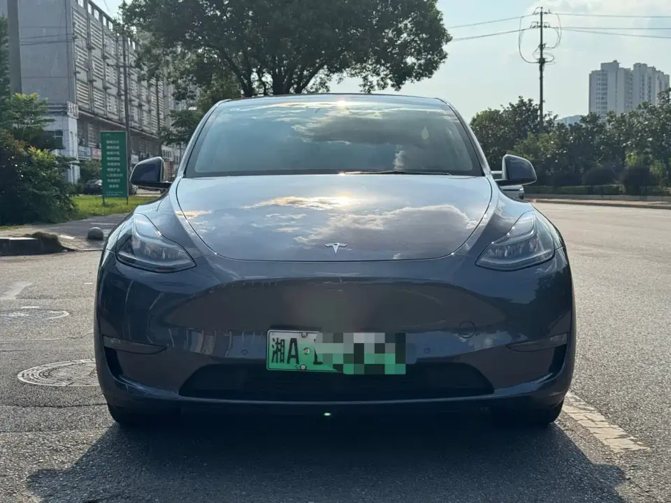 Tesla Model Y Model Long Range AWD 2021