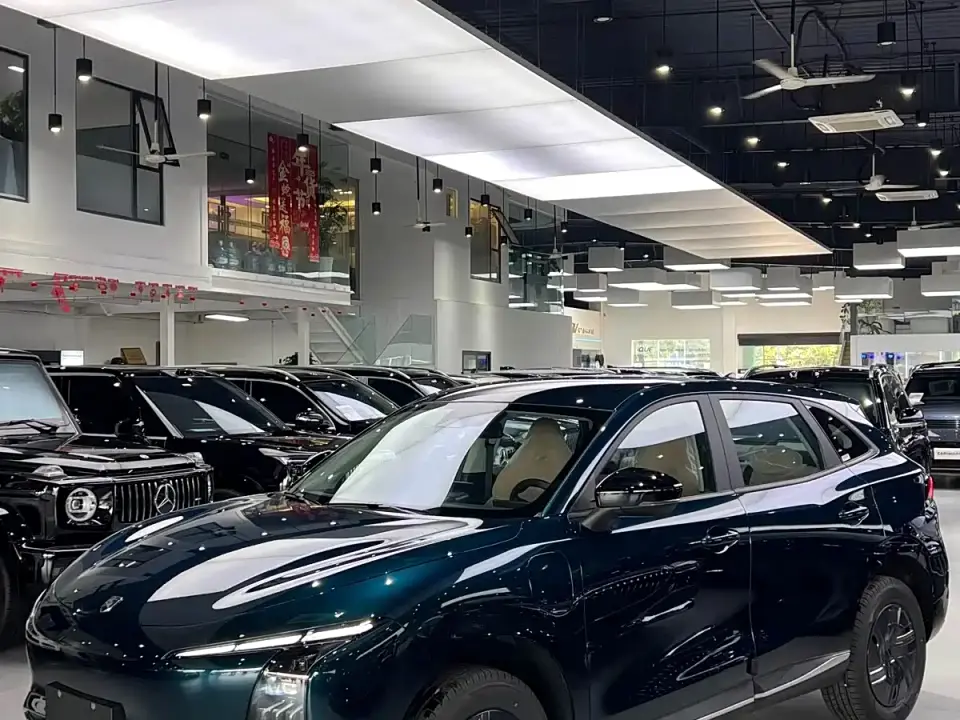 Dongfeng Fengxing Starry Sea T5 Model 530km Premium Edition 2026