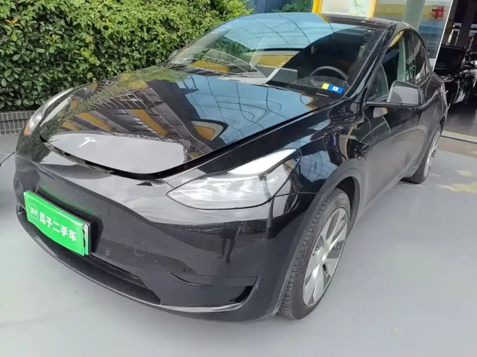 Tesla Model Y Rear-Wheel Drive Version 2022