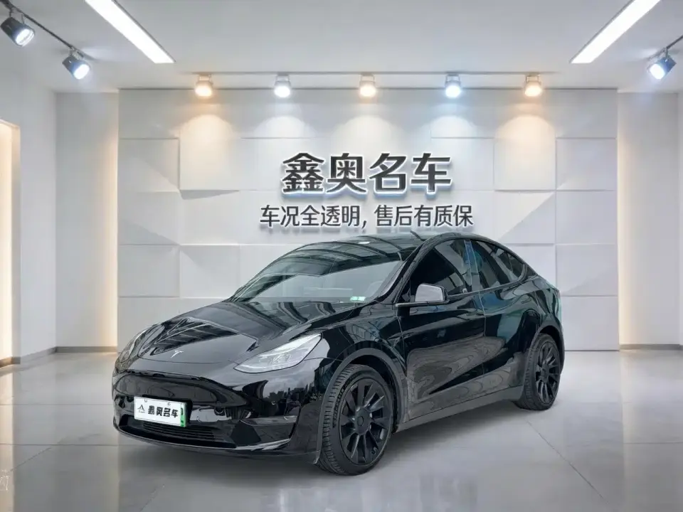 Tesla Model Y Standard Range Rear-Wheel Drive 2021