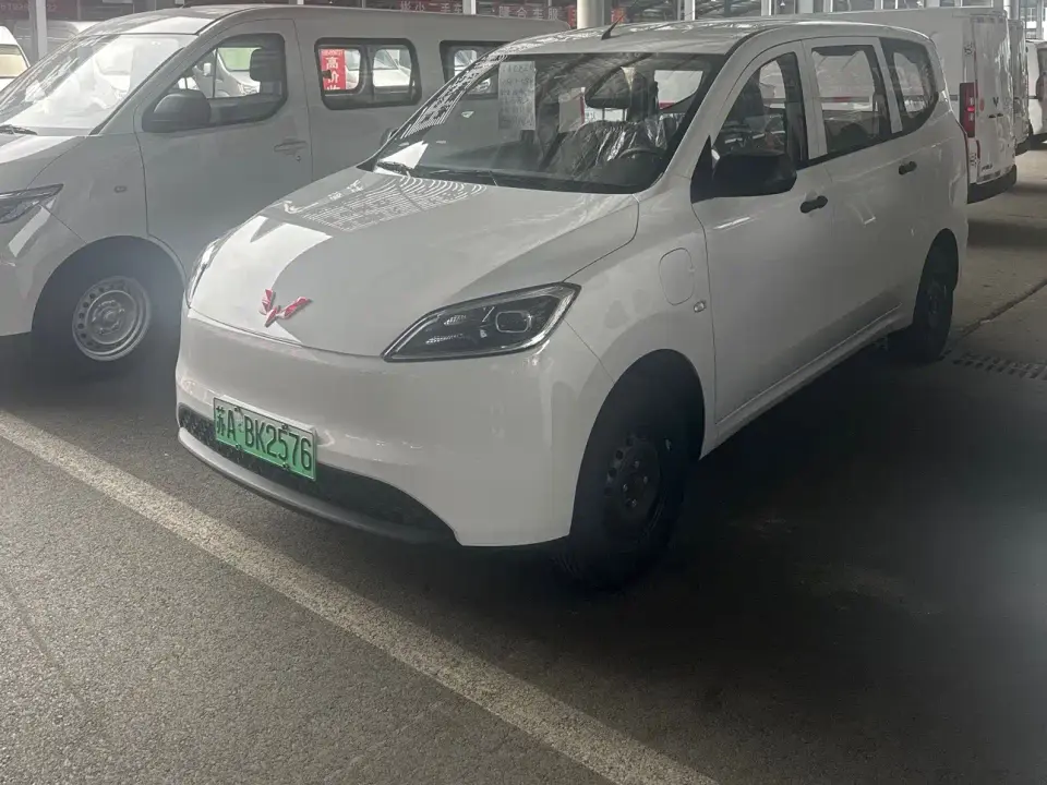 Wuling Motors Wuling Hongguang New Energy Pure Electric 300KM Standard 2026