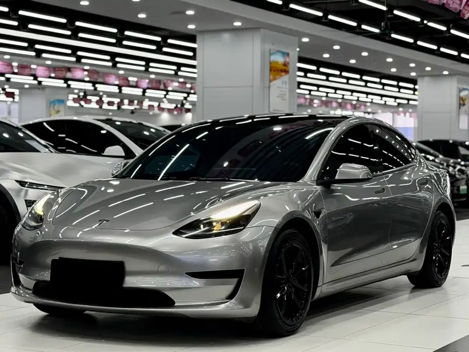 Tesla Model 3 Standard Range Rear-Wheel Drive Upgrade 3D6 2021