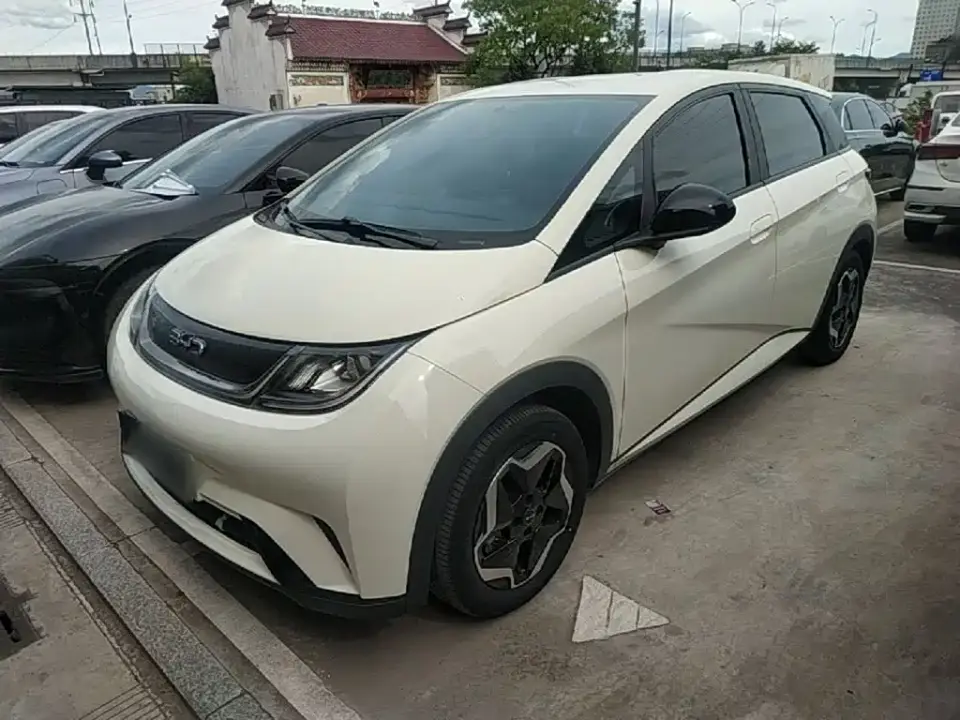 BYD Dolphin 420km Vitality Edition 2024