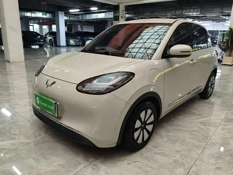 Wuling Motors Wuling Bingo Model 333km Joy+ Version 2023