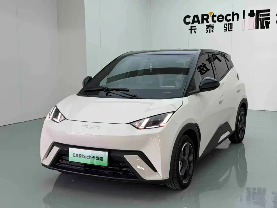 BYD Seagull Glory Edition 305km Freedom Edition 2024