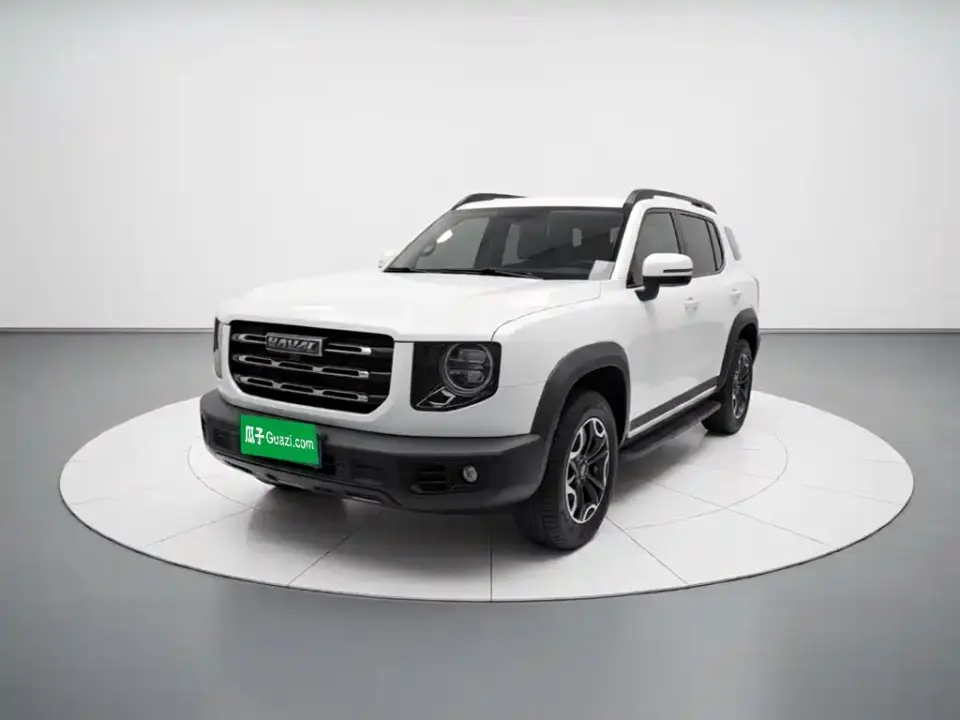 Haval Big Dog 2.0T DCT 4WD Chinese Rural Dog Edition 2021