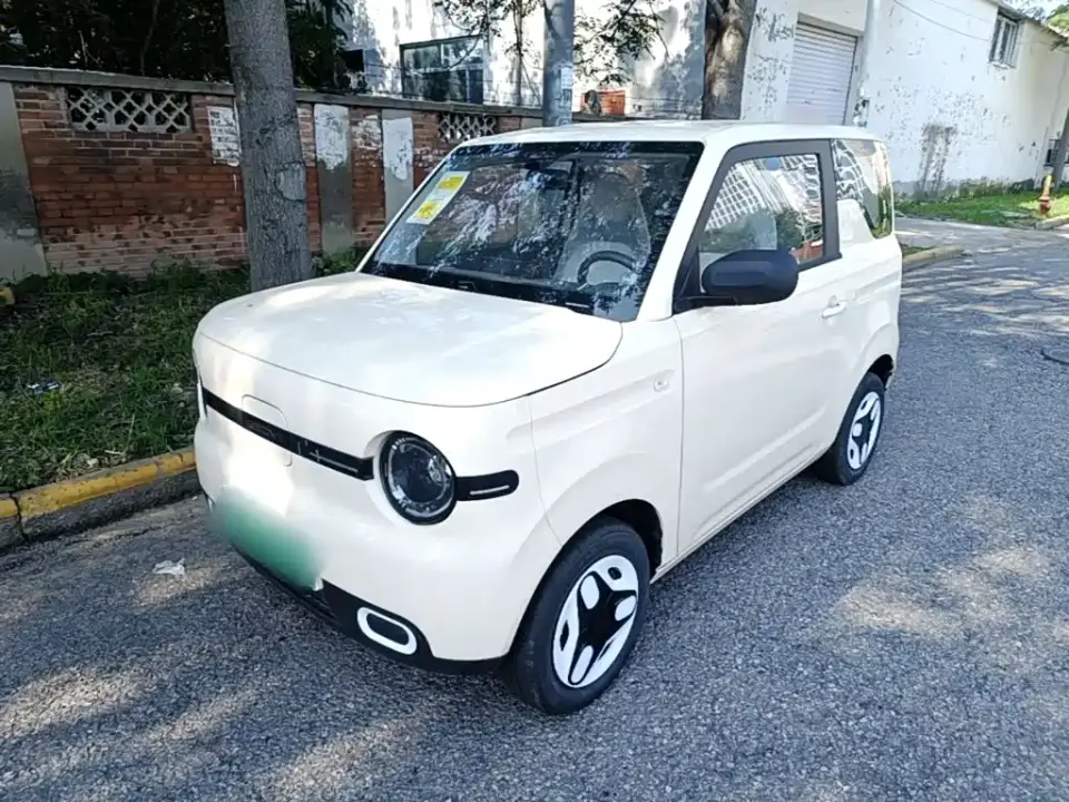 Geely Galaxy Panda Panda mini 210km Vitality Bear 2026