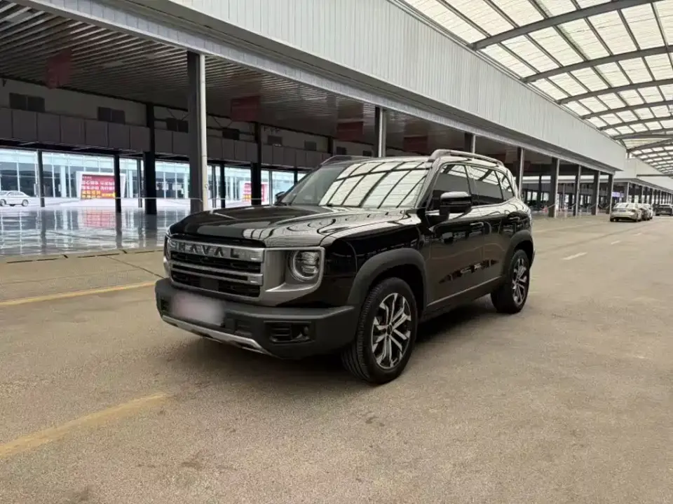 Haval Big Dog Model 1.5T DCT Labrador Edition 2024