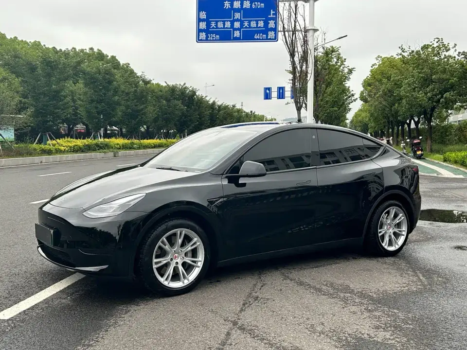 Tesla Model Y Rear-Wheel Drive Version 2022