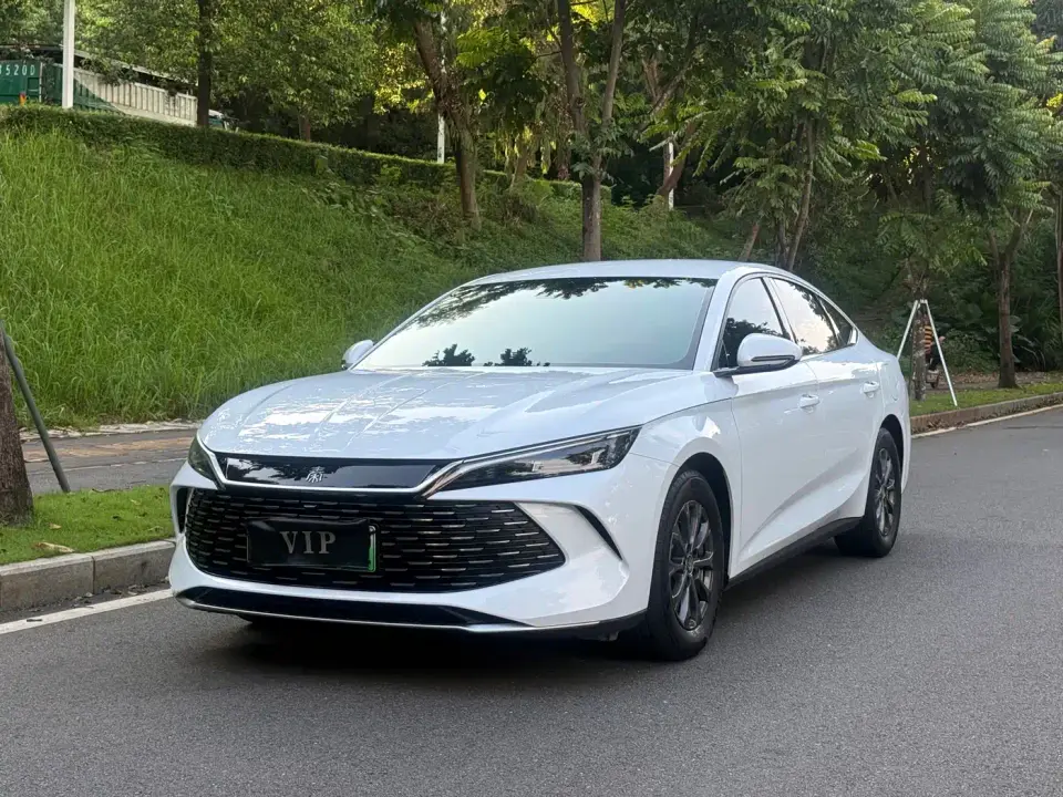 BYD Qin L DM-i 80KM Leading Edition 2024