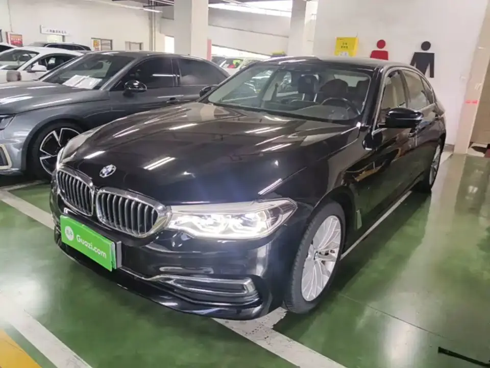 BMW 5 Series New Energy 530Le Range Upgrade Luxury Package 2020