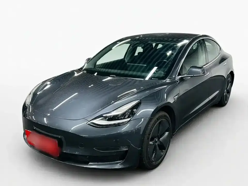 Tesla Model 3 (Import) Long Range RWD Version 2019