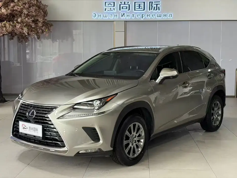 Lexus NX Model 200 AWD Fengshang Edition China V 2019