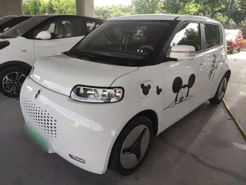ORA White Cat 360km Standard Model 2020