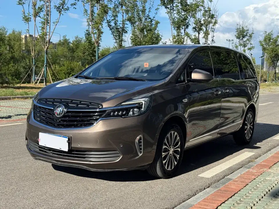 Buick GL8 Land Business Class 652T Premium 2020