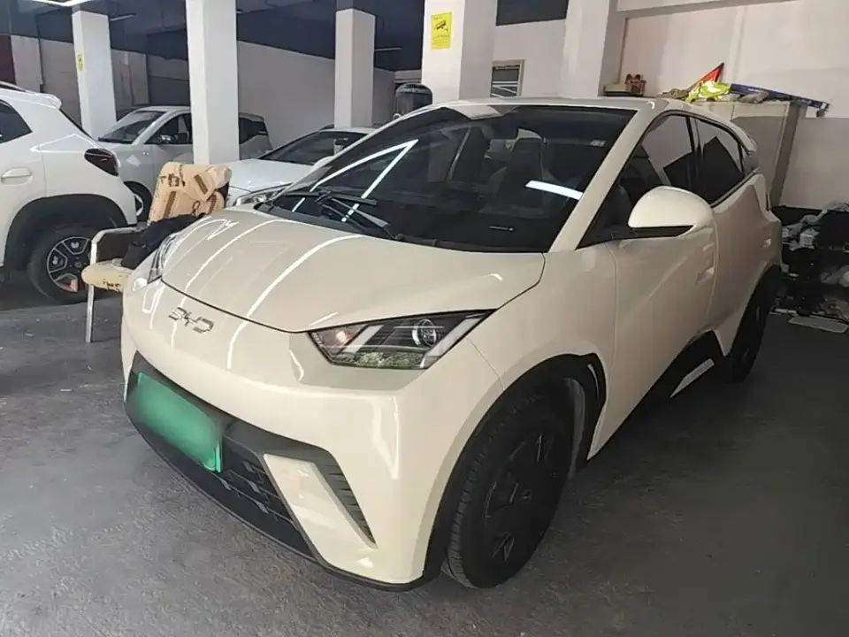 BYD Seagull Glory Edition 305km Vitality Edition 2024