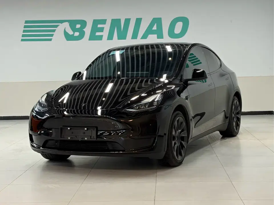 Tesla Model Y Rear-Wheel Drive Version 2022