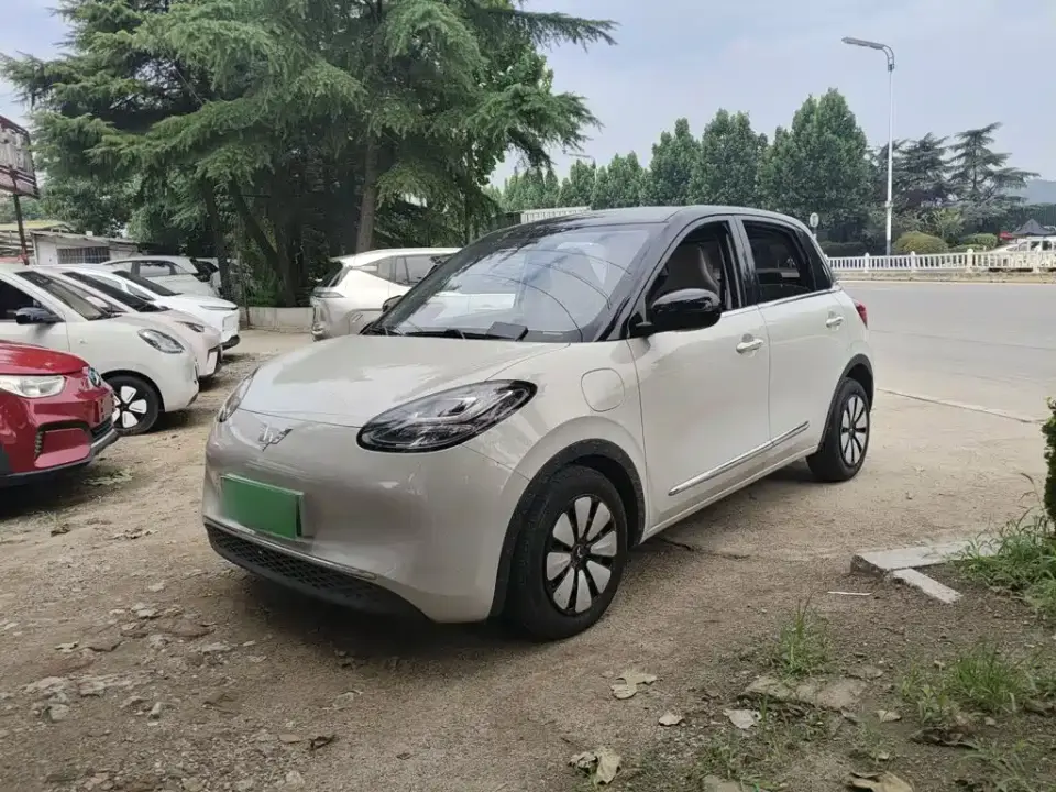 Wuling Motors Wuling Bingo 333km Joyful Version 2023